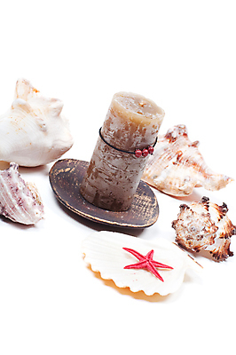 포토 JPG 해외이미지 초 불가사리 사람없음 스파 조개껍데기 아로마 아로마테라피 테라피 해외포토 조개 극피동물 뷰티 파일형식 이미지허브