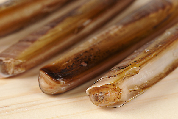 포토 JPG 해외이미지 조개 연체동물 건강 사람없음 목재 가로 껍질 신선 인스턴트 해산물 묘사 날것 많음 해외포토 나무 음식 컨셉 재료 어패류 무척추동물 파일형식 이미지허브