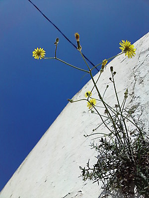 포토 JPG 해외이미지 사람없음 해외포토 파일형식 이미지허브