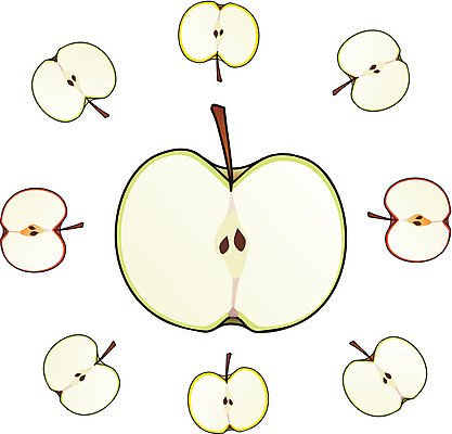 EPS 해외이미지 농업 다이어트 일러스트 빨간색 초록색 세트 노란색 흰색 달콤 아침식사 사과 자르기 수집 토막 내추럴 고립 구역 숙성 줄이기 핵심 실종 해외일러스트 산업 컬러 과일 모션 건강 식사 맛 사건 파일형식 벡터 이미지허브