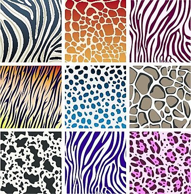 EPS 해외이미지 클립아트 동물 디자인 야생동물 선 백그라운드 패턴 오렌지 일러스트 포유류 아프리카 자연 벽지 추상 털 동물원 동양인 장식 컬러풀 갈색 유행 검은색 고양이 줄무늬 흰색 그리기 호랑이 소 인쇄 가죽 천 기린 사파리 피부 묘사 질감 복고 육식동물 얼룩말 층 표범 동물상 해외일러스트 나라 컬러 무늬 과일 모션 인종 신체부위 반려동물 조형물 직물 말_동물 생태계 파일형식 벡터 이미지허브