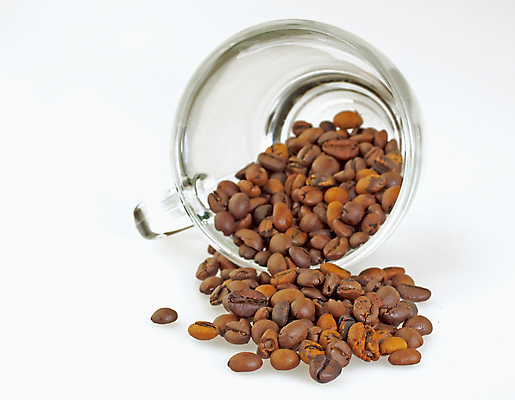 포토 JPG 해외이미지 접시 커피 음료 음식 백그라운드 가방 유리 탁자 아침 콩 따뜻함 미술 사람없음 컵 농작물 갈색 쌓기 검은색 카페 머그컵 수확 흰색 신선 뜨거움 닫기 낟알 굽기 묘사 활 싱글 질감 아로마 갈기 향 흙더미 양조 많음 맛있는 해외포토 주간 식기 잡화 컬러 가구 컨셉 농업 모션 재질 문화예술 곡류 상점 흙 구이 파일형식 더미 이미지허브