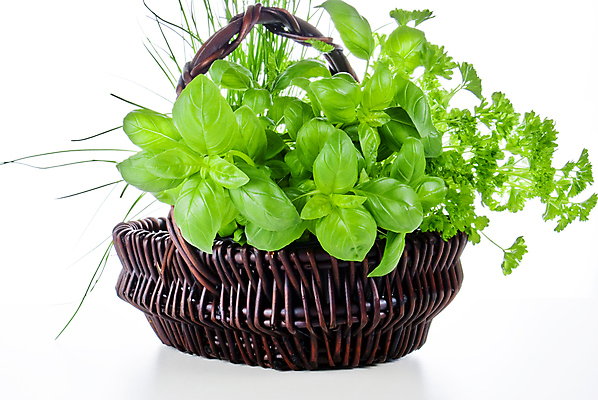 포토 JPG 해외이미지 식물 음식 잎 다이어트 토마토 채소 과일 자연 건강 요리 사람없음 빨간색 초록색 주방 정원 식사 봄 샐러드 흰색 시골 신선 조미료 맛 먹기 허브 향신료 칼로리 바질 내추럴 해외포토 계절 컬러 컨셉 모션 생태계 향미료 파일형식 이미지허브