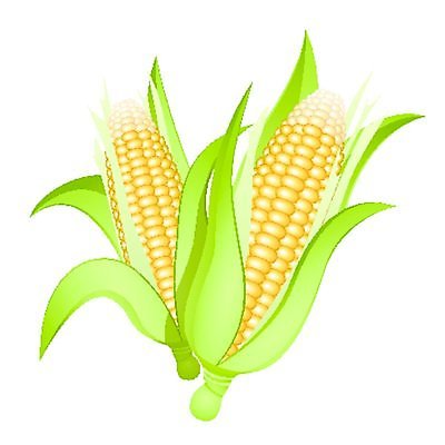 EPS 해외이미지 클립아트 식물 음식 잎 농업 채소 일러스트 재료 건강 옥수수 씨앗 초록색 농장 노란색 수확 흰색 시리얼 유기농 귀 팝콘 비타민 자원 고립 숙성 유전 유전자변형 채식주의자 해외일러스트 웰빙 산업 컬러 곡류 신체부위 채식 영양소 파일형식 벡터 이미지허브