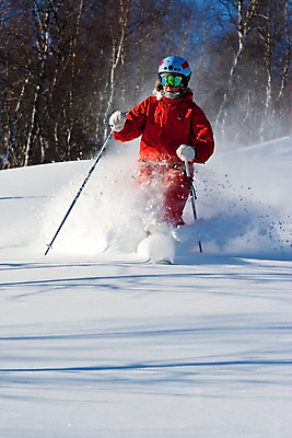 포토 JPG 해외이미지 나무 라이프스타일 행복 스포츠 여행 포즈 겨울 모션 하늘 휴가 스키 휴식 산 한명 사람 성인 취미 파란색 운동 태양 여행객 기쁨 추위 자유 흰색 묘기 가루 속도 무료 선로 프리스타일 해외포토 자연요소 식물 1 계절 감정 컬러 컨셉 겨울스포츠 건강 생활 파일형식 이미지허브