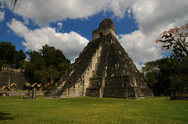 포토 JPG 해외이미지 종교 문화 여행 잎 벽돌 사람없음 관광지 사찰 역사 중앙아메리카 폐허 피라미드 마야 고고학 과테말라 숭배 해외포토 식물 건축물 교육 종교건축 아메리카 마야문명 랜드마크 파일형식 이미지허브