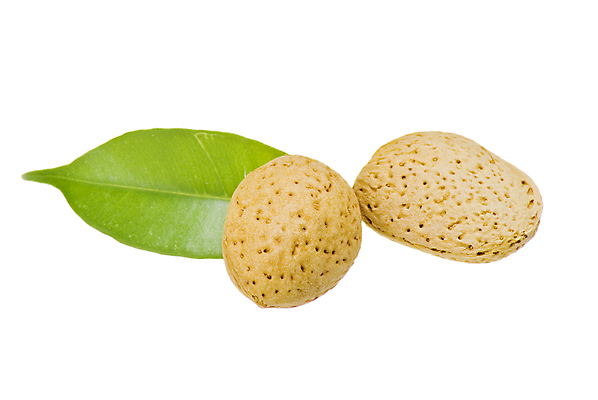 포토 JPG 해외이미지 식물 계절 음식 잎 재료 자연 건강 씨앗 사람없음 초록색 갈색 견과류 껍질 흰색 그룹 오브젝트 유기농 알맹이 아몬드 내추럴 고립 해외포토 웰빙 컬러 생태계 파일형식 이미지허브