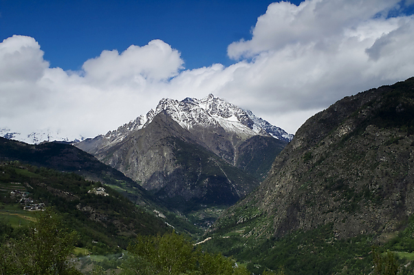 포토 JPG 해외이미지 나무 산 사람없음 초록색 파란색 계곡 냉동 얼음 추위 프랑스 고도 빙하 알프스 샤모니 해외포토 자연요소 식물 유럽 컬러 파일형식 이미지허브