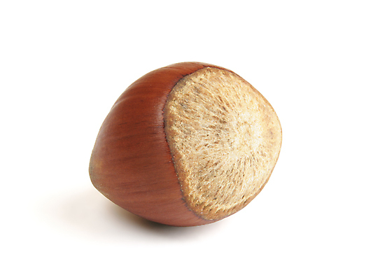 포토 JPG 해외이미지 식물 음식 채소 과일 재료 건조 건강 그림자 씨앗 사람없음 갈색 힘 견과류 껍질 흰색 먹기 가득함 오브젝트 싱글 유기농 날것 광택 고립 꼬투리 숙성 식용 여의주 개암 해외포토 웰빙 열매 컬러 모션 파일형식 이미지허브