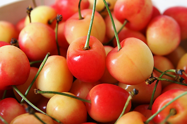 포토 JPG 해외이미지 열매 음식 과일 자연 디저트 사람없음 빨간색 컬러풀 노란색 주스 신선 체리 그룹 닫기 달콤 맛 유기농 내추럴 많음 맛있는 해외포토 식물 웰빙 음료 컬러 컨셉 모션 생태계 파일형식 이미지허브
