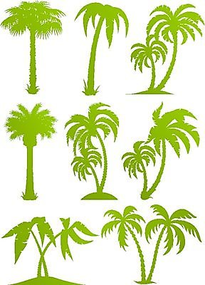 EPS 해외이미지 나무 식물 실루엣 백그라운드 잎 일러스트 자연 왕관 손바닥 초록색 세트 흰색 그룹 수집 오브젝트 윤곽 내추럴 조립 고립 해외일러스트 손 컬러 촬영기법 생태계 파일형식 벡터 이미지허브