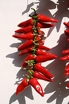 포토 JPG 해외이미지 음식 벽 고추 피망 건조 건강 요리 사람없음 빨간색 신선 뜨거움 그룹 닫기 다발 향신료 유기농 매움 후추 많음 해외포토 웰빙 컬러 컨셉 채소 모션 맛 향미료 파일형식 이미지허브
