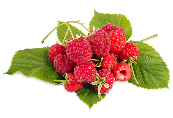 포토 JPG 해외이미지 열매 음식 백그라운드 잎 과일 자연 디저트 건강 사람없음 빨간색 초록색 농작물 흰색 나뭇가지 그룹 달콤 먹기 산딸기 흙더미 고립 숙성 채식주의자 해외포토 나무 식물 컬러 농업 모션 흙 맛 생태계 채식 파일형식 더미 이미지허브