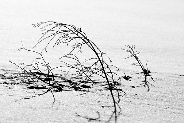 포토 JPG 해외이미지 나무 구름 계절 도로 겨울 자연 하늘 날씨 휴가 산 풍경 사람없음 야외 파란색 빛 태양 뷰티 냉동 얼음 침묵 추위 안개 흰색 나뭇가지 전원 시골 소나무 황무지 고독 숲 시원함 12월 북극 서리 장면 지역 멀리 깊이 해외포토 자연요소 식물 감정 길 컬러 교통시설 소리 날짜 전기에너지 극지방 생태계 파일형식 이미지허브