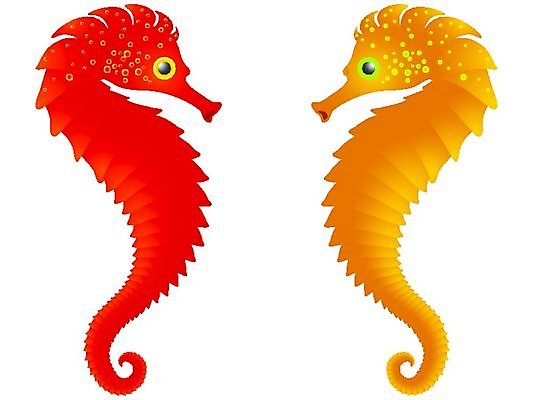 EPS 해외이미지 동물 디자인 공원 야생동물 바다 일러스트 자연 추상 생물 동물원 어류 빨간색 물 노란색 수중 거품 흰색 아래 다이빙 수족관 고립 엘리먼트 해외일러스트 자연요소 공공시설 컬러 무늬 수영 수중동물 방향 생태계 위치 수중스포츠 파일형식 벡터 이미지허브