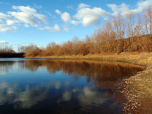포토 JPG 해외이미지 나무 호수 자연 하늘 사람없음 물 반사 숲 해외포토 자연요소 식물 생태계 파일형식 이미지허브