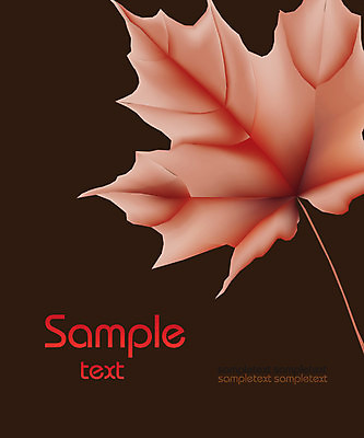 EPS 해외이미지 나무 식물 디자인 계절 백그라운드 단풍 잎 캐나다 꽃무늬 패턴 오렌지 일러스트 자연 목재 그래픽 장식 빨간색 컬러풀 노란색 달콤 9월 11월 심볼 그림 10월 엘리먼트 플라타너스 해외일러스트 꽃 컬러 북아메리카 무늬 과일 재료 날짜 맛 생태계 파일형식 벡터 이미지허브