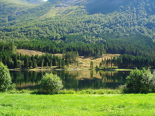 포토 JPG 해외이미지 나무 유럽 호수 바다 여행 백그라운드 자연 벽지 하늘 휴가 산 파노라마 노르웨이 사람없음 야외 물 관광지 햇빛 태양 뷰티 일몰 환경보전 장면 북쪽 내추럴 스칸디나비아 오슬로 해외포토 자연요소 식물 나라 촬영기법 노을 방향 사회이슈 생태계 파일형식 이미지허브
