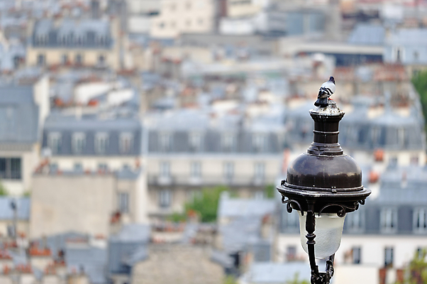 포토 JPG 해외이미지 유럽 백그라운드 가로등 건축양식 유리 조명 미술 사람없음 야외 장식 빛 도시풍경 금속 검은색 어둠 낭만 프랑스 수확 골동품 등불 램프 도시 화려 센터 역사 고급 오브젝트 복고 장면 청동 타운 프랑스어 바로크 옛날 파리(프랑스) 해외포토 문자 공공시설 건축 나라 컬러 컨셉 농업 재질 문화예술 풍경 파일형식 이미지허브