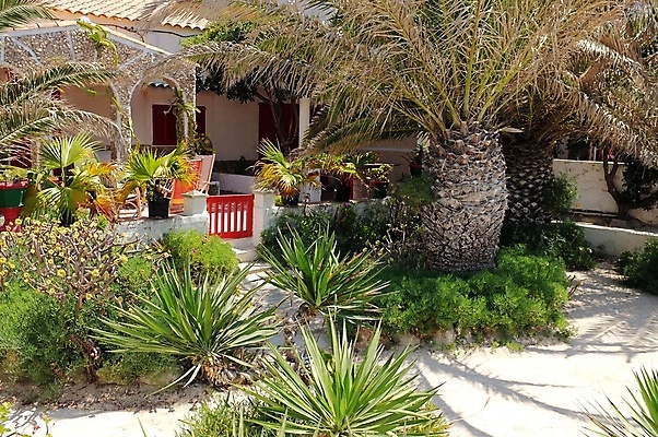 포토 JPG 해외이미지 식물 계절 꽃 주택 사람없음 건물 초록색 정원 묘사 해외포토 건축물 컬러 파일형식 이미지허브