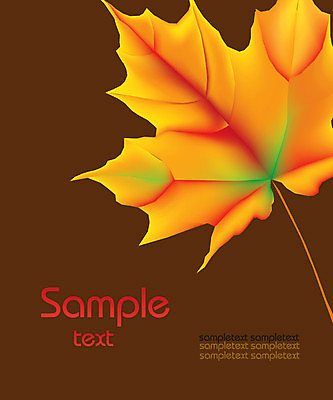 EPS 해외이미지 나무 식물 디자인 계절 백그라운드 단풍 잎 캐나다 꽃무늬 패턴 오렌지 일러스트 자연 목재 그래픽 장식 빨간색 컬러풀 노란색 가을 달콤 9월 11월 심볼 그림 10월 엘리먼트 플라타너스 해외일러스트 꽃 컬러 북아메리카 무늬 과일 재료 날짜 맛 생태계 파일형식 벡터 이미지허브