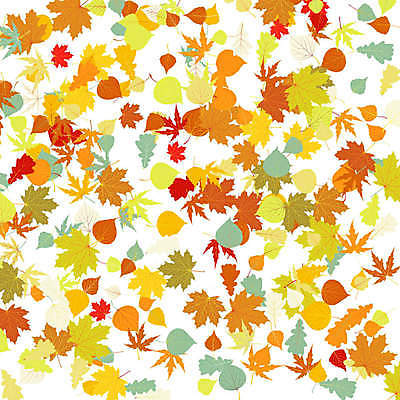 EPS 해외이미지 단풍 낙엽 패턴 일러스트 나뭇잎 사람없음 노란색 주황색 패턴백그라운드 은행잎 해외일러스트 컬러 백그라운드 잎 무늬 파일형식 벡터 이미지허브