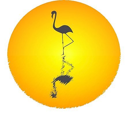 EPS 해외이미지 동물 디자인 실루엣 바다 백그라운드 일러스트 자연 조류 미술 서기 장식 물 태양 반사 검은색 깃털 부리 해외일러스트 자연요소 컬러 모션 문화예술 촬영기법 생태계 파일형식 벡터 이미지허브