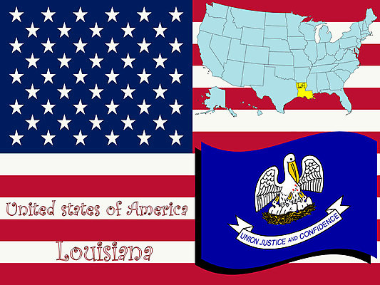 EPS 해외이미지 디자인 지도 일러스트 새로움 초록색 미국 하와이 캘리포니아 북쪽 애리조나 알래스카 고립 서쪽 와이오밍 워싱턴 저지 조지아 콜로라도 텍사스 플로리다 해외일러스트 컬러 컨셉 북아메리카 방향 동유럽 파일형식 벡터 이미지허브