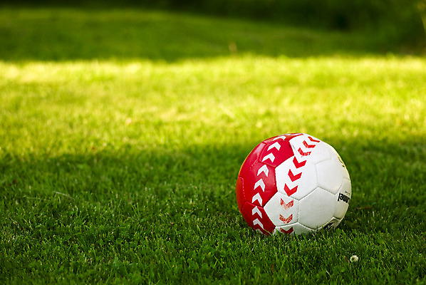 포토 JPG 해외이미지 공 놀이 잔디 사람없음 초록색 축구 해외포토 식물 컬러 구기 파일형식 이미지허브