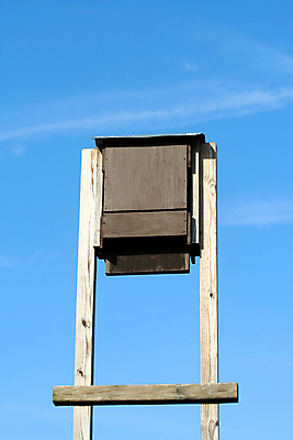 포토 JPG 해외이미지 하늘 주택 사람없음 야외 목재 파란색 박쥐 해외포토 나무 컬러 재료 포유류 건물 파일형식 이미지허브