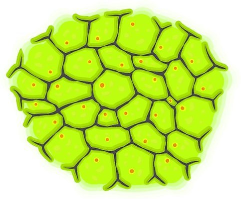 EPS 해외이미지 과학 백그라운드 패턴 일러스트 해부 추상 생물 세포 현미경 그래픽 초록색 약 웹 거품 그룹 바이러스 닫기 낙서 작음 만화 스케치 불안 피부 유기농 질감 생물학 미생물 시스템 암 망사 리빙 박테리아 핵심 해외일러스트 웰빙 교육 감정 컬러 무늬 인터넷 의학 모션 실험기구 미술 신체부위 직물 질병 크기 파일형식 벡터 이미지허브