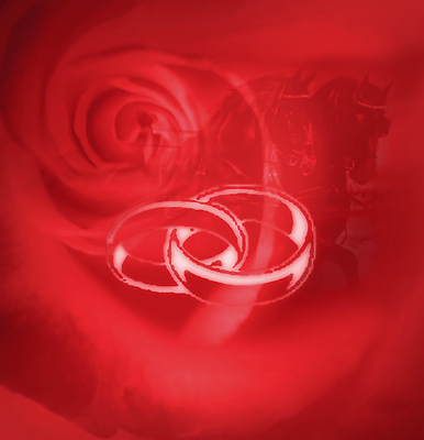 포토 JPG 해외이미지 커플 꽃 행복 꽃다발 결혼 2 일러스트 결혼식 사랑 사람없음 장식 빨간색 장미 귀여움 낭만 축하 반지 신용카드 달콤 보석 준비 다이아몬드 모음 베일 해외일러스트 식물 감정 컬러 컨셉 장신구 관계 이벤트 금융 맛 광석 파일형식 이미지허브