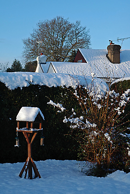 포토 JPG 해외이미지 계절 크리스마스 겨울 탁자 조류 하늘 그림자 사람없음 파란색 울타리 햇빛 태양 정원 축제 추위 흰색 추수감사절 해외포토 자연요소 동물 기념일 기독교 컬러 가구 담장 파일형식 이미지허브