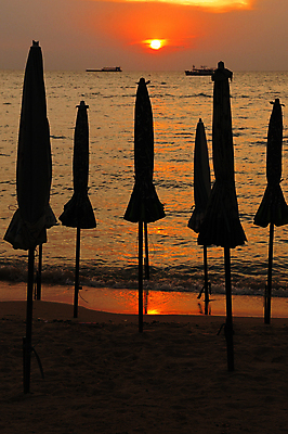 포토 JPG 해외이미지 계절 파도 바다 섬 여행 백그라운드 오렌지 우산 자연 하늘 휴가 휴식 손바닥 사람없음 목재 빨간색 물 파란색 햇빛 태양 일출 맑음 황혼 일몰 새벽 낭만 만 황금 휴양지 태평양 파라다이스 수평선 해외포토 자연요소 나무 손 컬러 컨셉 과일 재료 날씨 노을 장소 생태계 파일형식 이미지허브