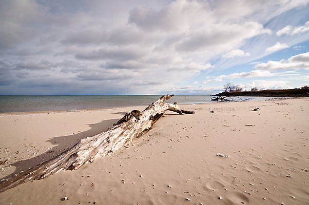 포토 JPG 해외이미지 구름 호수 모래 자연 하늘 풍경 사람없음 야외 가로 물 통나무 해외포토 자연요소 나무 생태계 파일형식 이미지허브