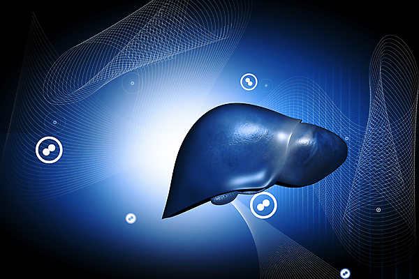 포토 JPG 해외이미지 교육 과학 백그라운드 컨셉 신체 일러스트 병원 사람 사람없음 파란색 3D 건강관리 광선 보호 간 암 외과 췌장 돌봄 해외일러스트 컬러 의학 모션 건강 관리 장기_의학 질병 디지털합성 파일형식 이미지허브