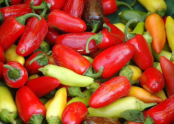 포토 JPG 해외이미지 음식 백그라운드 채소 재료 고추 건강 요리 사람없음 빨간색 초록색 신선 뜨거움 맛 향신료 매움 후추 숙성 해외포토 컬러 컨셉 향미료 파일형식 이미지허브