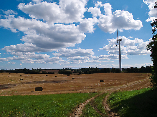 포토 JPG 해외이미지 산업 밭 자연 하늘 바람 미래 덴마크 사람없음 야외 초록색 파란색 글로벌 환경 희망 힘 재활용 발전기 에너지 칼날 오염 역 보호 프로펠러 연료 세대 방앗간 혁명 되감기 땅바닥 효율 공급 부족함 해외포토 자연요소 감정 컬러 컨셉 농업 교통시설 날씨 바닥 북유럽 발전소 친환경 생태계 파일형식 이미지허브