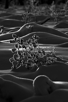 포토 JPG 해외이미지 겨울 공 흑백 사람없음 얼음 추위 황무지 해외포토 자연요소 계절 촬영기법 파일형식 이미지허브