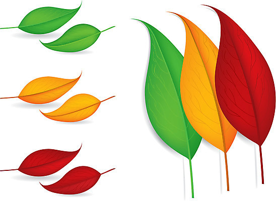 EPS 해외이미지 모양 식물 계절 컨셉 잎 일러스트 자연 추상 그래픽 빨간색 초록색 컬러풀 가을 신선 떠남 해외일러스트 컬러 무늬 모션 생태계 파일형식 벡터 이미지허브