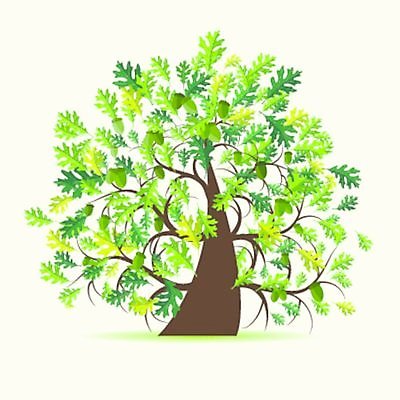 EPS 해외이미지 나무 디자인 잎 일러스트 사람없음 초록색 여름 해외일러스트 식물 계절 컬러 파일형식 벡터 이미지허브