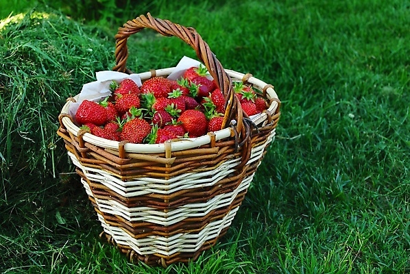 포토 JPG 해외이미지 계절 열매 음식 백그라운드 농업 다이어트 과일 재료 자연 벽지 딸기 디저트 프레임 건강 사람없음 가로 빨간색 초록색 빛 바구니 활발 신선 달콤 맛 아침식사 먹기 상쾌 유기농 질감 부드러움 채식주의자 맛있는 해외포토 식물 웰빙 감정 산업 컬러 컨셉 모션 식사 감각 생태계 채식 파일형식 이미지허브