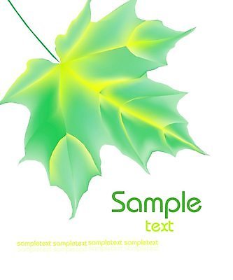 EPS 해외이미지 나무 식물 디자인 계절 백그라운드 단풍 잎 캐나다 꽃무늬 패턴 오렌지 일러스트 자연 목재 그래픽 장식 빨간색 컬러풀 노란색 가을 달콤 9월 11월 심볼 그림 10월 엘리먼트 플라타너스 해외일러스트 꽃 컬러 북아메리카 무늬 과일 재료 날짜 맛 생태계 파일형식 벡터 이미지허브