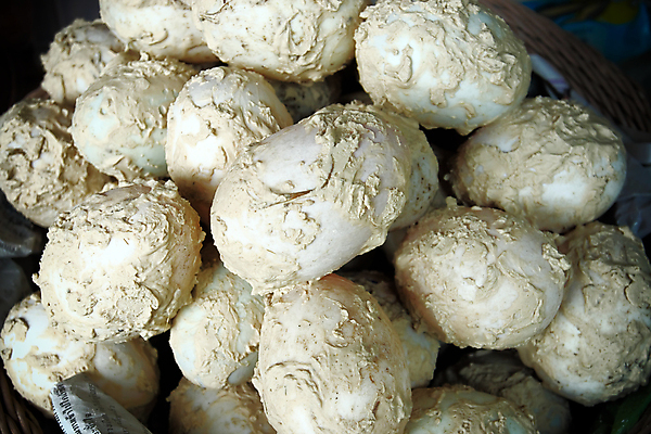 포토 JPG 해외이미지 음식 백그라운드 오리 요리 동양인 사람없음 계란 중국 흰색 소금 라임 점토 세기 재 해외포토 아시아 컬러 과일 모션 조류 인종 알 파일형식 이미지허브