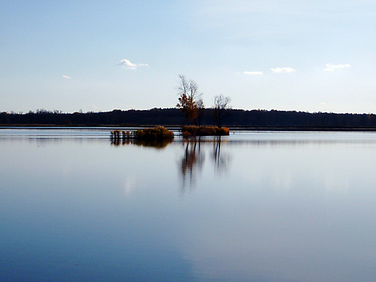 포토 JPG 해외이미지 호수 자연 하늘 사람없음 목재 물 숲 해외포토 자연요소 나무 재료 생태계 파일형식 이미지허브