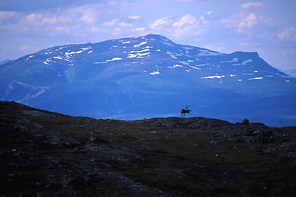 포토 JPG 해외이미지 유럽 문화 자연 하늘 산 스웨덴 사람없음 야외 컬러풀 안개 언덕 장면 산악지대 옛날 해외포토 나라 컬러 날씨 북유럽 생태계 파일형식 이미지허브