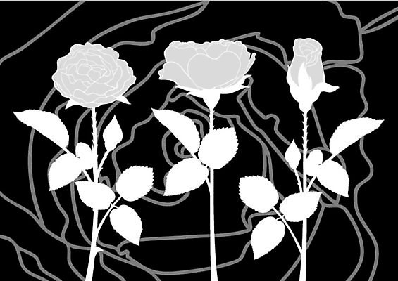 EPS 해외이미지 디자인 꽃 실루엣 백그라운드 잎 일러스트 장식 장미 검은색 흰색 해외일러스트 식물 컬러 촬영기법 파일형식 벡터 이미지허브