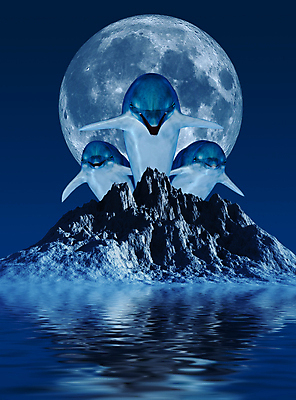 포토 JPG 해외이미지 파도 바다 백그라운드 일러스트 포유류 자연 산 어류 미술 풍경 사람없음 물 파란색 컬러풀 반사 3D 점프 어둠 달 야간 번개 돌고래 공상 발생 해외일러스트 자연요소 동물 컬러 모션 날씨 문화예술 수중동물 디지털합성 생태계 파일형식 이미지허브