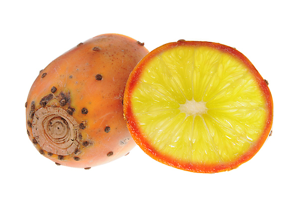 포토 JPG 해외이미지 디자인 음식 조각 다이어트 과일 자연 추상 귤 선인장 건강 사람없음 빨간색 초록색 여름 놀람 흰색 신선 닫기 달콤 맛 자르기 먹기 상쾌 유기농 칼로리 비타민 공학 내추럴 혁명 거짓 고립 바이오 숙성 유전 이국적 맛있는 해외포토 식물 웰빙 계절 교육 감정 컬러 컨셉 무늬 모션 표정 생태계 영양소 파일형식 이미지허브