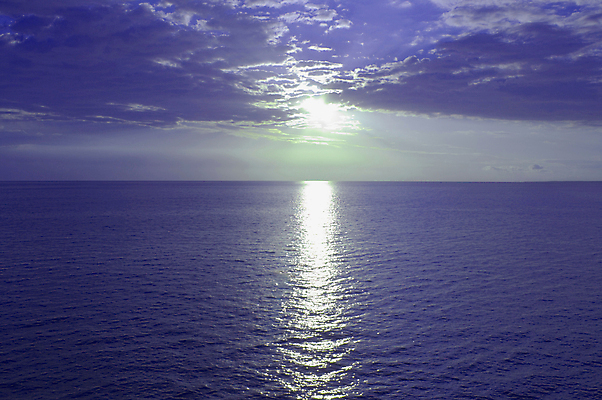 포토 JPG 해외이미지 나무 실루엣 호수 모래 파도 바다 여행 백그라운드 오렌지 자연 하늘 휴가 사람없음 야외 빨간색 물 파란색 빛 강 컬러풀 태양 뷰티 반사 노란색 평화 일출 어둠 황혼 일몰 흰색 황금 야간 저녁 내추럴 수평선 해외포토 자연요소 식물 컬러 컨셉 과일 촬영기법 노을 생태계 파일형식 이미지허브